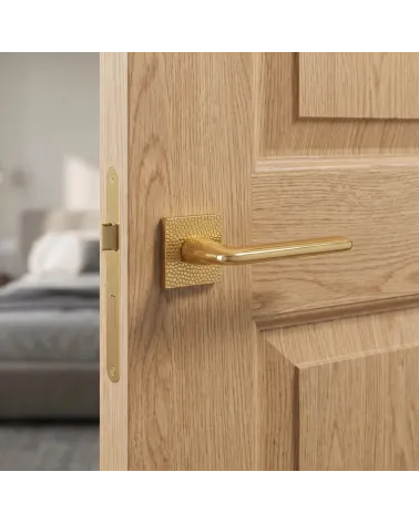 Polished Gold Door Handle for Luxurious Décor - TUPAI 4165-T1 Model
