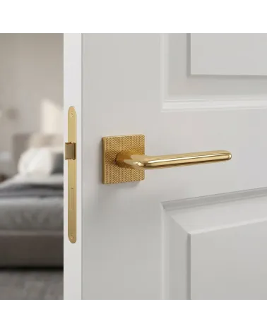 Polished Gold Door Handle for Luxurious Decor - TUPAI 4165-T2 Model