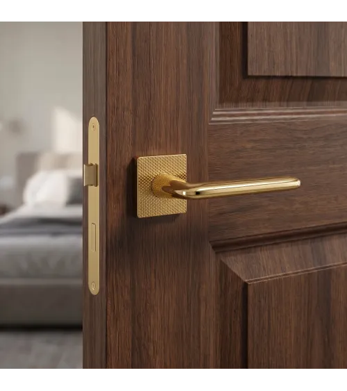 TUPAI 4165-T2 polished gold door handle design handle