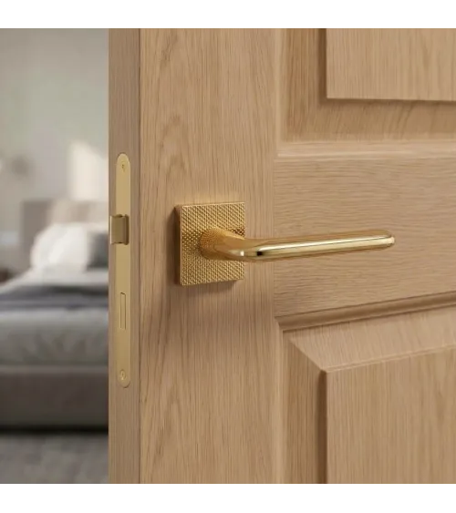 TUPAI 4165-T2 polished gold door handle design handle