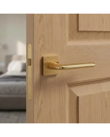 Polished Gold Door Handle for Luxurious Decor - TUPAI 4165-T2 Model