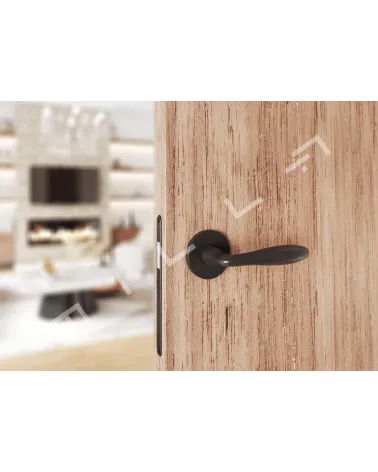 Modern door handle VERBENA designer handle fitted on a wood pattern door