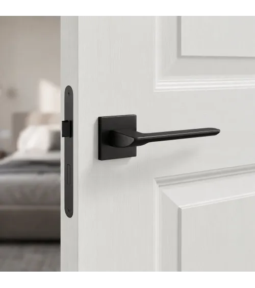 Contemporary ASTRA door handle design handle
