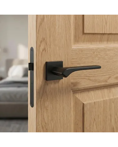Contemporary Door Handle for Minimalist Décor – BERGERIA