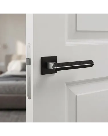 Luxurious Two-Tone Brushed Chrome/Black Door Handle — CARRERA