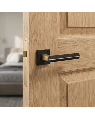 Sophisticated Two-Tone Matt Gold/Black Door Handle - CARRERA Model