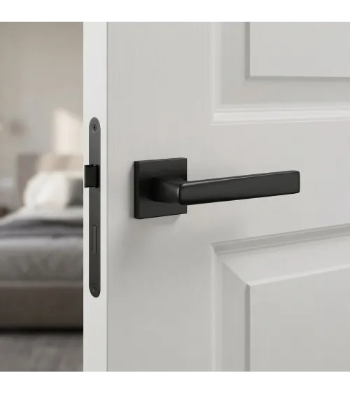 ADANA black door handle design handle