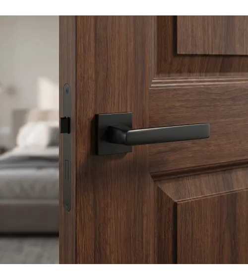 ADANA black door handle design handle