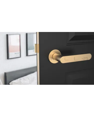 ALORA matt gold door handle design front view mounted on a door