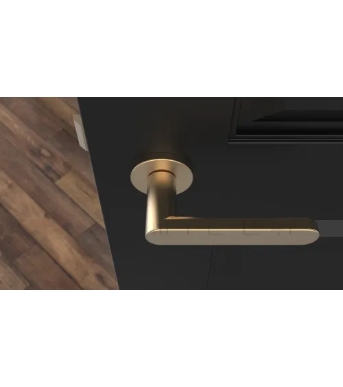 Matt gold ALORA door handle design handle