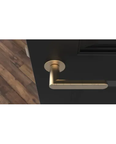 ALORA matt gold door handle design top view mounted on a door