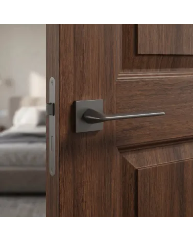 Contemporary design door handles TOBA