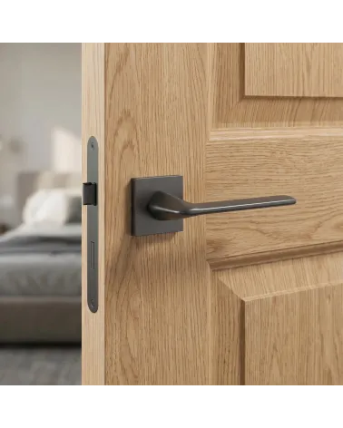 Contemporary design door handles TOBA