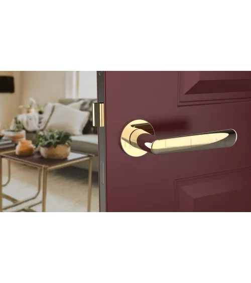 ARIA design handle in polished gold finish