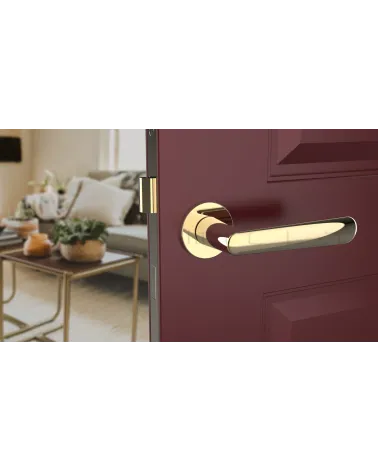Polished gold ARIA designer door handle front view mounted on a door