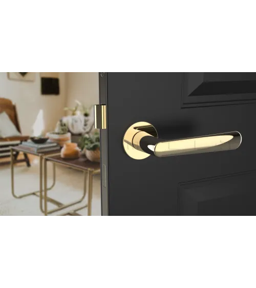 ARIA design handle in polished gold finish
