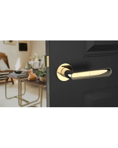 Polished gold ARIA designer door handle front view mounted on an ajar door