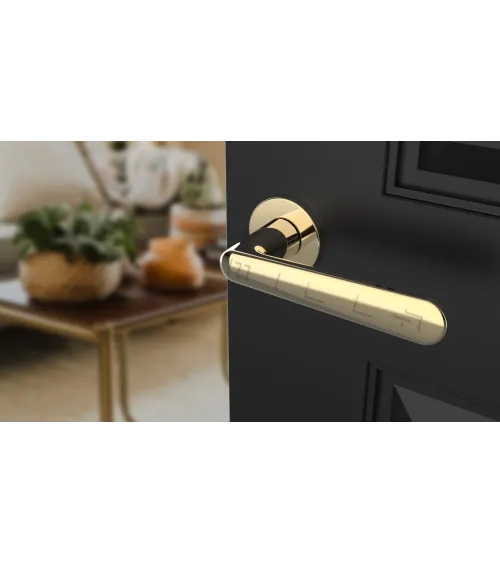 ARIA design handle in polished gold finish
