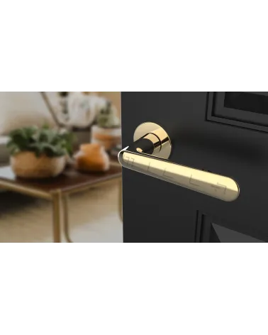 Polished gold ARIA designer door handle top angled view mounted on a door