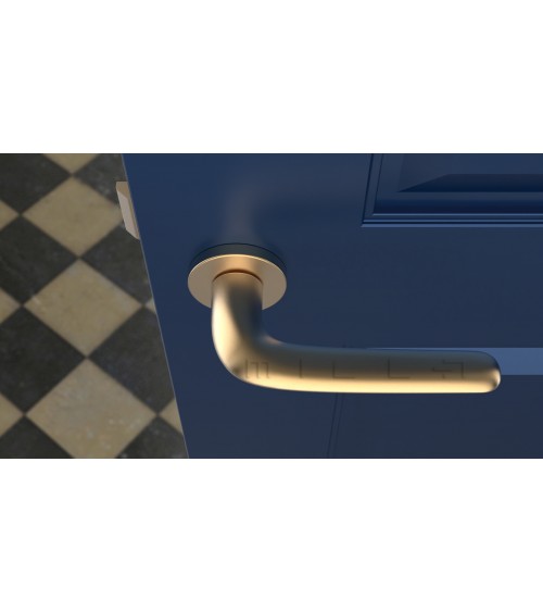 Matt Gold AZALIA door handle designer handle