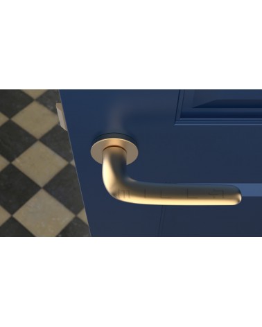 AZALIA Matt Gold door handle design handle top view mounted on a door