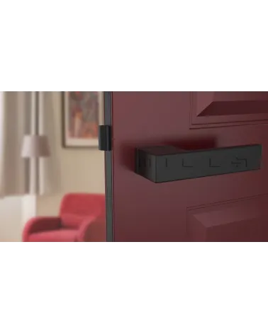 Futuristic CARLINA door handle design handle front view mounted on a door