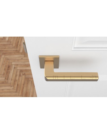 SALICE matt gold door handle design hardware top view mounted on a door