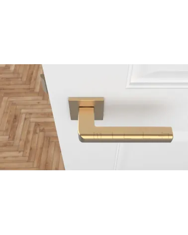 SALICE matt gold door handle design hardware top view mounted on a door