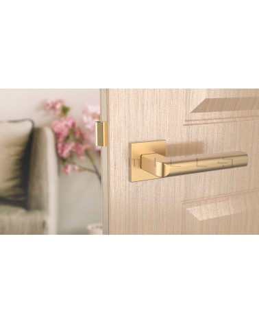 SALICE matt gold door handle design hardware front view mounted on a door