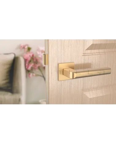 SALICE matt gold door handle design hardware front view mounted on a door