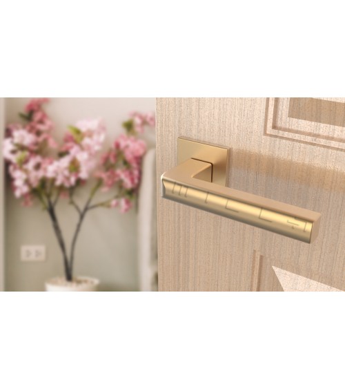 SALICE matte gold door handle design hardware