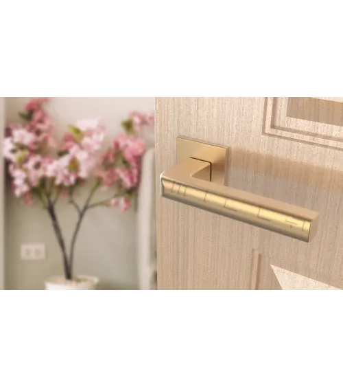SALICE matte gold door handle design hardware