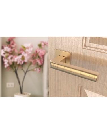 SALICE matt gold door handle design hardware angled view mounted on a door
