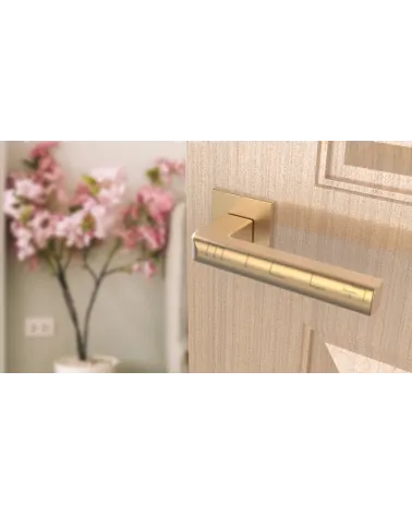 SALICE matt gold door handle design hardware angled view mounted on a door