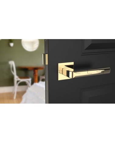 SALICE polished gold door handle design hardware front view mounted on a door