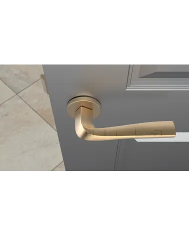 DALIA modern door handle designer handle top view mounted on a door
