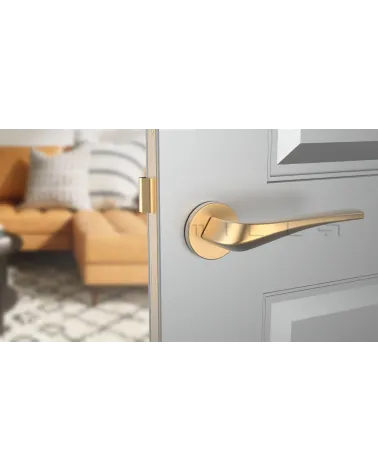 DALIA modern door handle designer handle front view mounted on a door