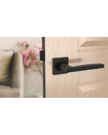 ERBA black door handle design handle front view mounted on a door