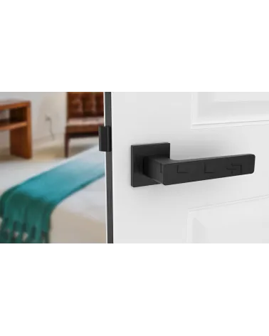 Black ERICA door handle design handle front view mounted on a door