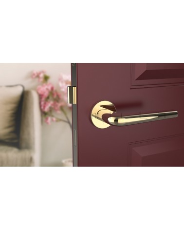 Polished gold FUNKIA door handle design handle front view mounted on a door