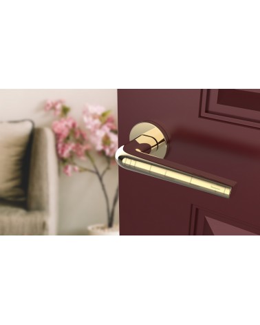 Polished gold FUNKIA door handle design handle angled view mounted on a door