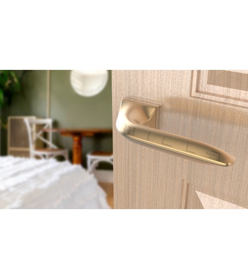 Matt gold GLADIOLA door handle design handle