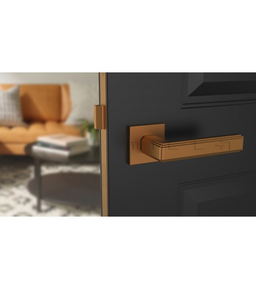 Modern RAFLESIA Door Handle designer handle