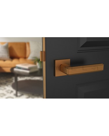 RAFLESIA modern door handle design handle colour 1 mounted on a dark blue door