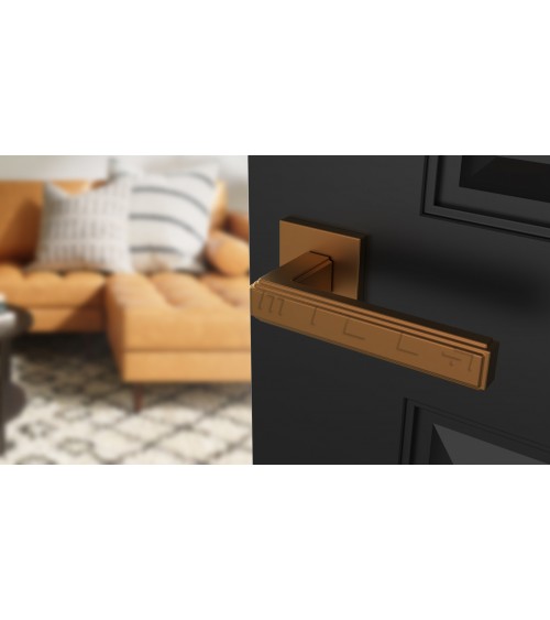 Modern RAFLESIA Door Handle designer handle