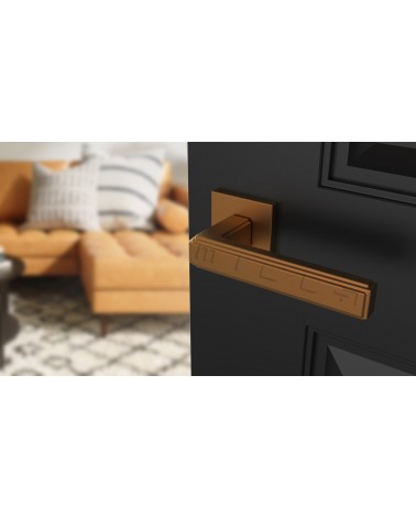 RAFLESIA modern door handle design handle colour 1 mounted on an open dark blue door