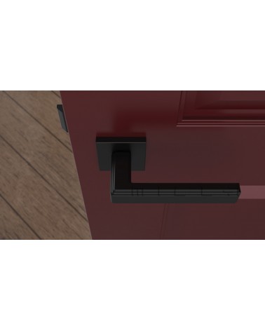 RAFLESIA black door handle design handle top view mounted on a door