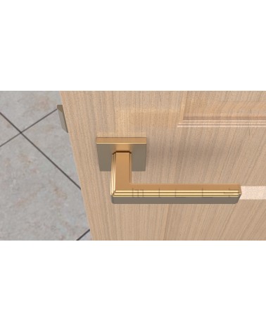 RAFLESIA door handle design handle colour 1 top view mounted on a door