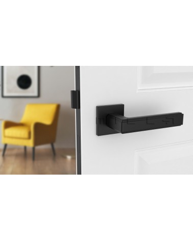 RAFLESIA black door handle design handle mounted on a door