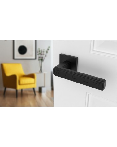 RAFLESIA black door handle design handle mounted on an ajar door
